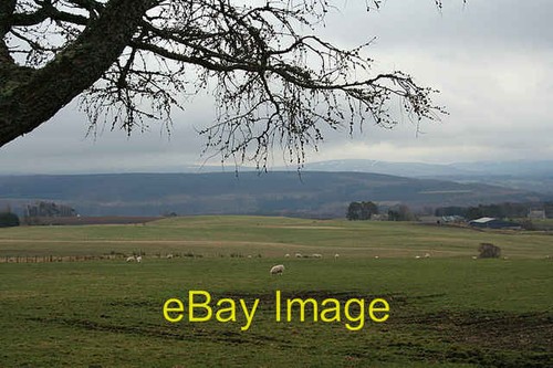 Photo 6x4 the - photo, view