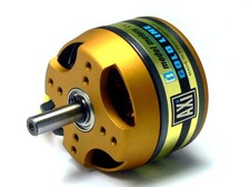 AXI Model Motors Gold Line