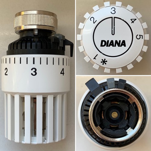 Nuovo diana identica testa - nuovo,