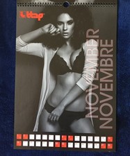 15 EROTIC CALENDARS VARIOUS
