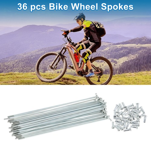 Set raggi bicicletta 14g - set,
