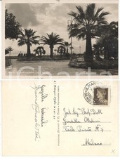1936 SANTA MARGHERITA (GE) Veduta dei giardini *Cartolina Gianna CEDRASCHI-TOSI