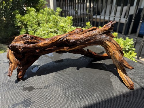 Driftwood mopani acquari - acquari, pesci