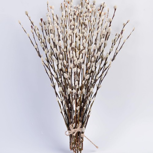 Stems real dried pussy - stems,