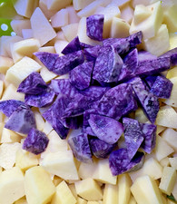 PATATE VIOLA BERGERAC 5 kg PASTO O SEMENTE SEME CUCINA CHEF GOURMET ORTO BIO