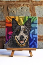 Australiano bestiame cane - australiano,