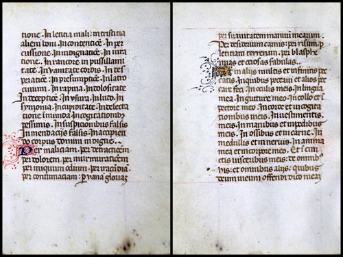 Grafia pergamena foglia - grafia, di