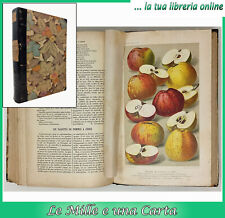 libro antico di botanica