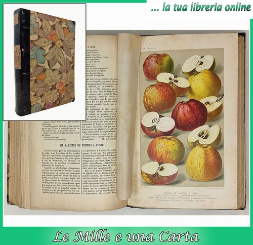 Libro antico botanica - antico,