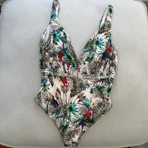 Tropical calzedonia bird - tropical,