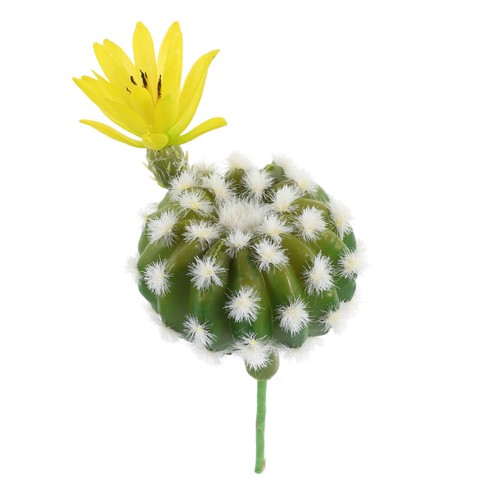 Piante succulente finte - piante,