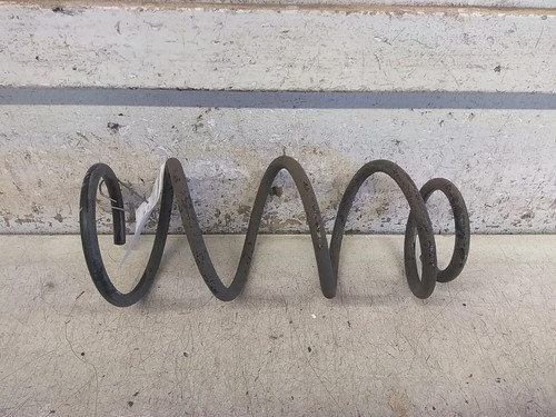 Molla spirale posteriore