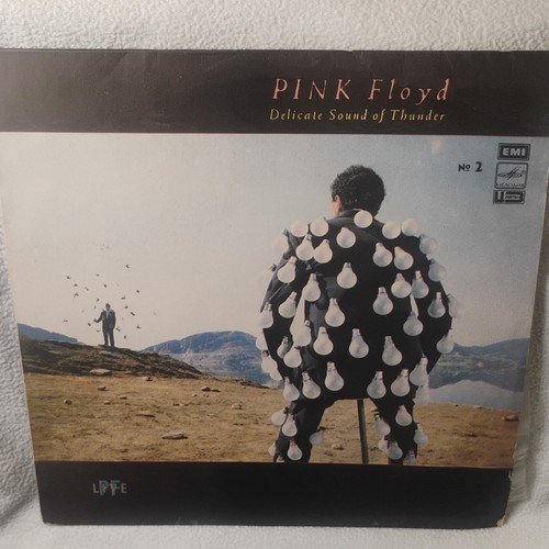 Pink floyd delicate sound - floyd,