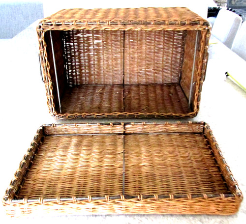 Tronco vintage piantagione