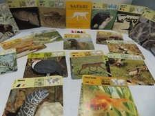 ANIMALI SAFARI LIR32 OLTRE100