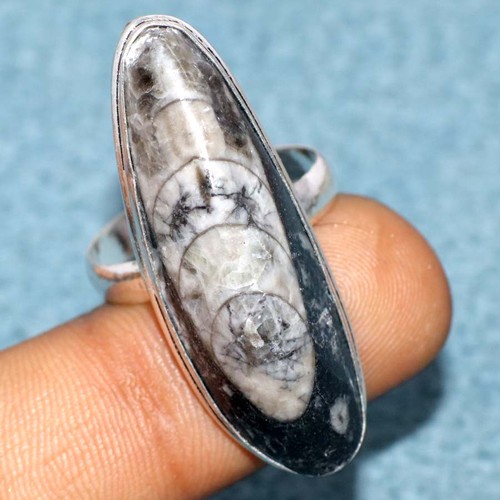 Anello orthoceras placcato - anello,