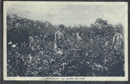 1936 somalia raccolta del - 1936, la