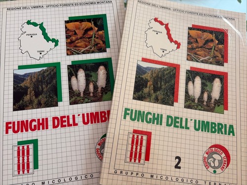 Funghi dell umbria - funghi, dell’umbria.