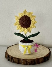 Mini girasole, vasetto fiore