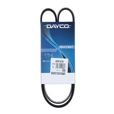 Cinghia Poly-V Dayco