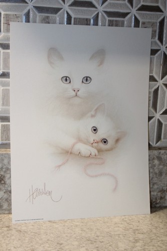1982 bob harrison gattino - harrison,