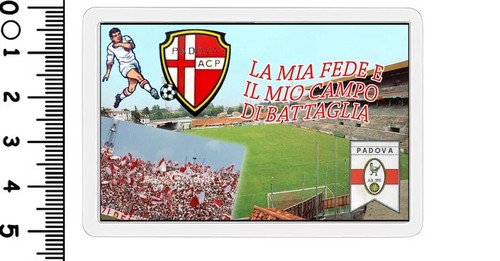 Foto magnete calcio figurina - foto,