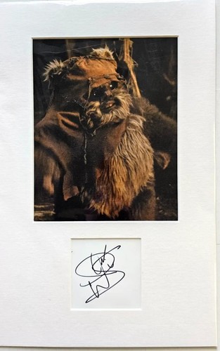 Warwick davies wicket hand - as,