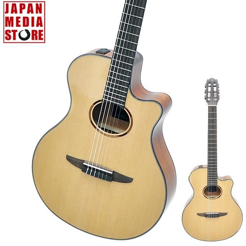 Chitarra acustica elettrica