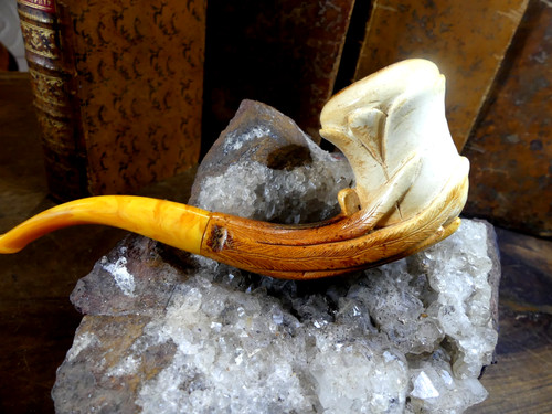 Pipe écume mer - écume,