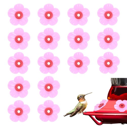 Per set mangime colibrì - mangime,
