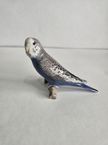 Rara statuina pappagallo