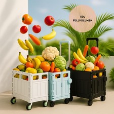 Cestino della spesa con 4