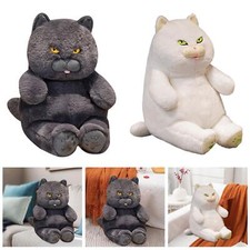 Gatti di peluche British