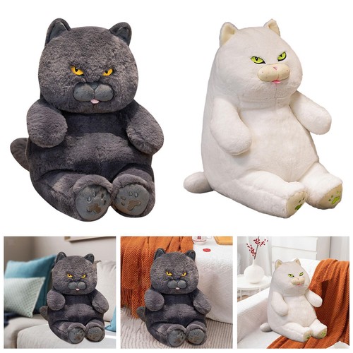 Gatti peluche british - gatti, di