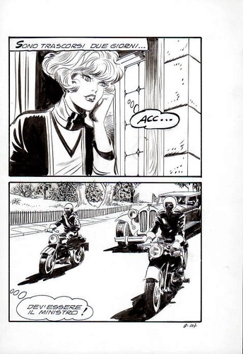Leone frollo tavola - leone,