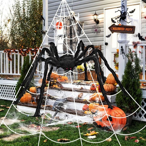 Ragno gigante halloween per - ragno,