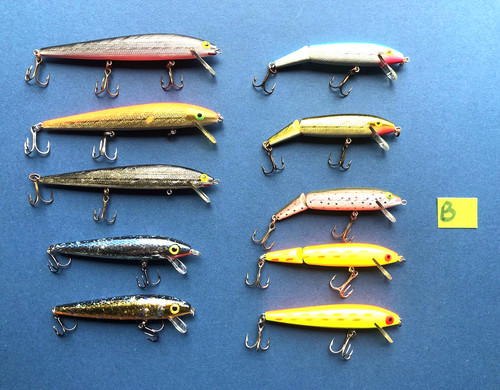 Rebel floater minnow - rebel,