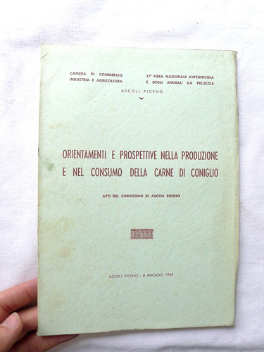 Cucina carne coniglio - cucina,