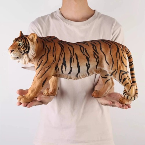Grande gatto tigre - , bengala
