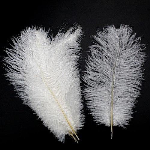 Kikihong pezzi piume - kikihong,