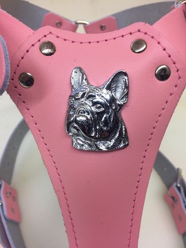 Imbracatura per cani - , in