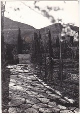 CICILIANO - ROMA - VILLA MANNI - STRADA ROMANA NELLA VILLA DEI LUCILI -22653-