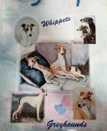 Nuovo ruth maystead greyhound - ruth,