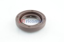 PARAOLIO DIFFERENZIALE OPEL MOVANO B VIVARO A RENAULT CHO 11360 30x52x8/12