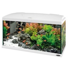 Acquario Ferplast Capri 80 LED