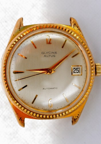 Glycine altus automatico con - altus,