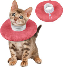 Collare Elisabettiano Gatto