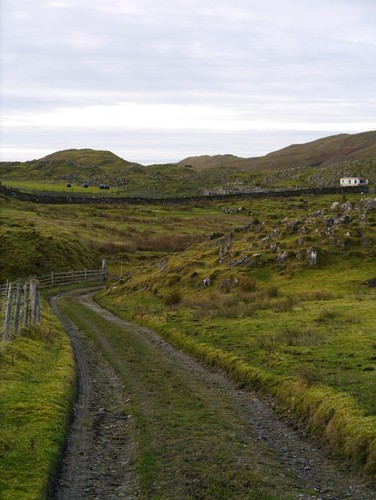 Photo track near loch fiart - photo,
