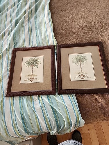 Quadri global palms musa - global,