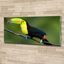 Tulup acrylic glass print wall - acrylic,